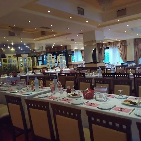 Archontiko Hotel Siatista